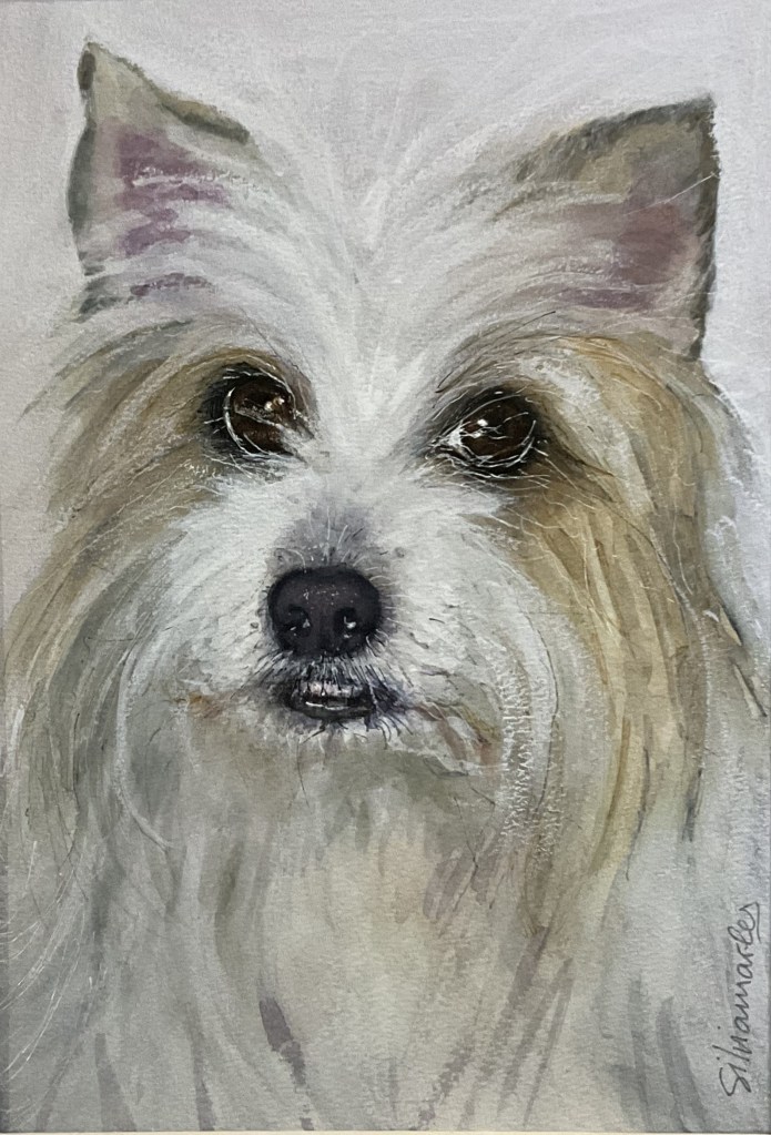 Nano, retrato en acuarela